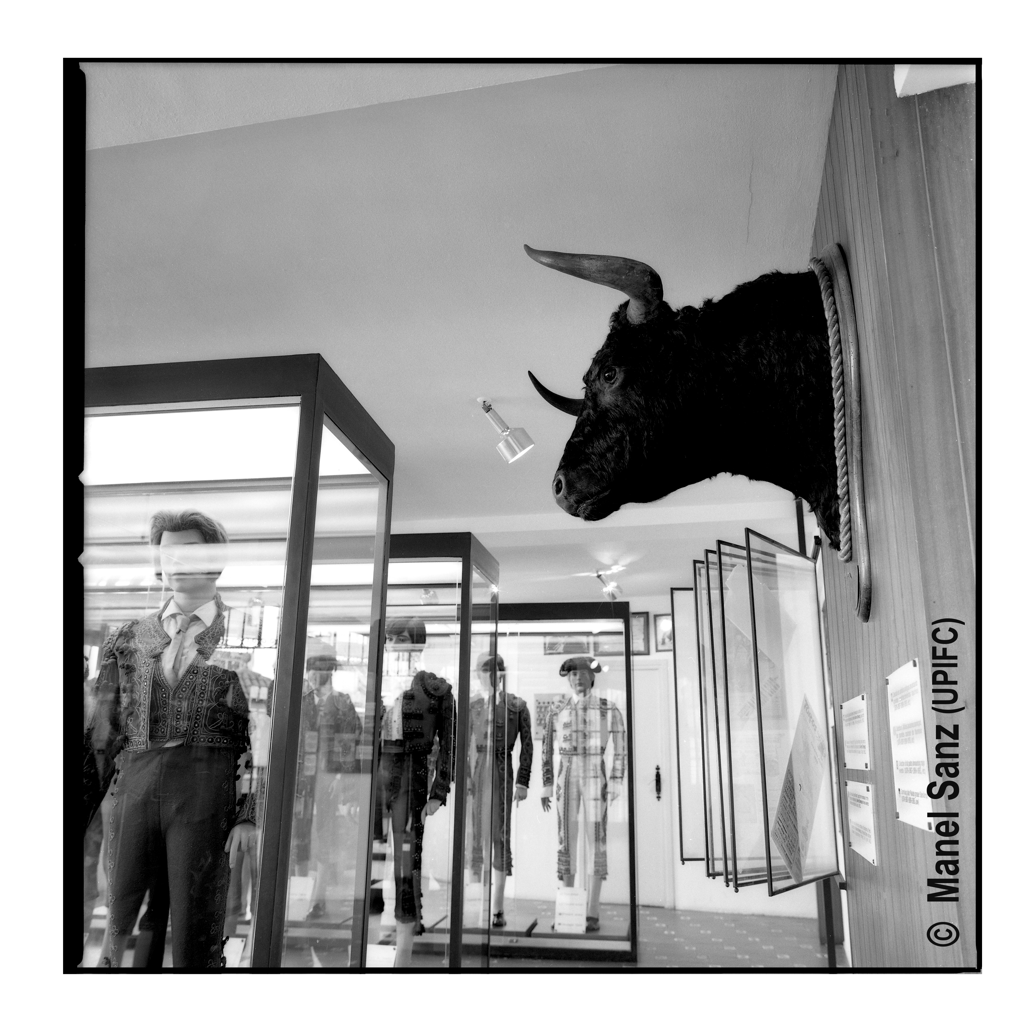 toro_lamonumentalsensetoros_cataleg